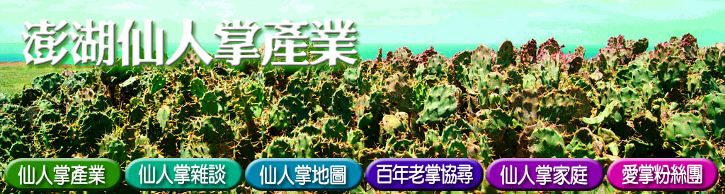 澎湖仙人掌